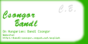 csongor bandl business card